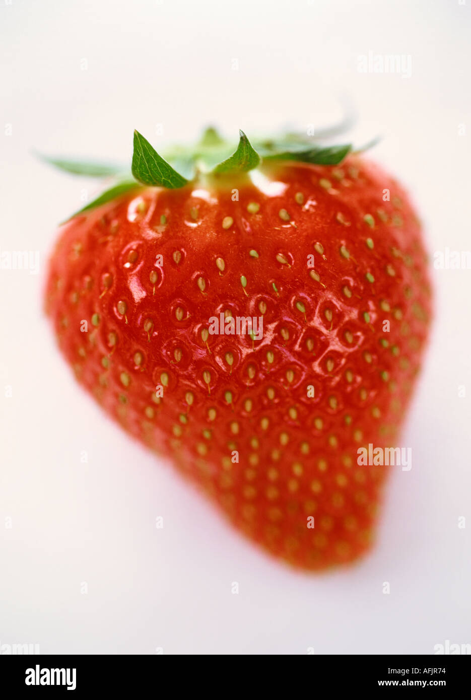 Fragola su sfondo bianco Foto Stock