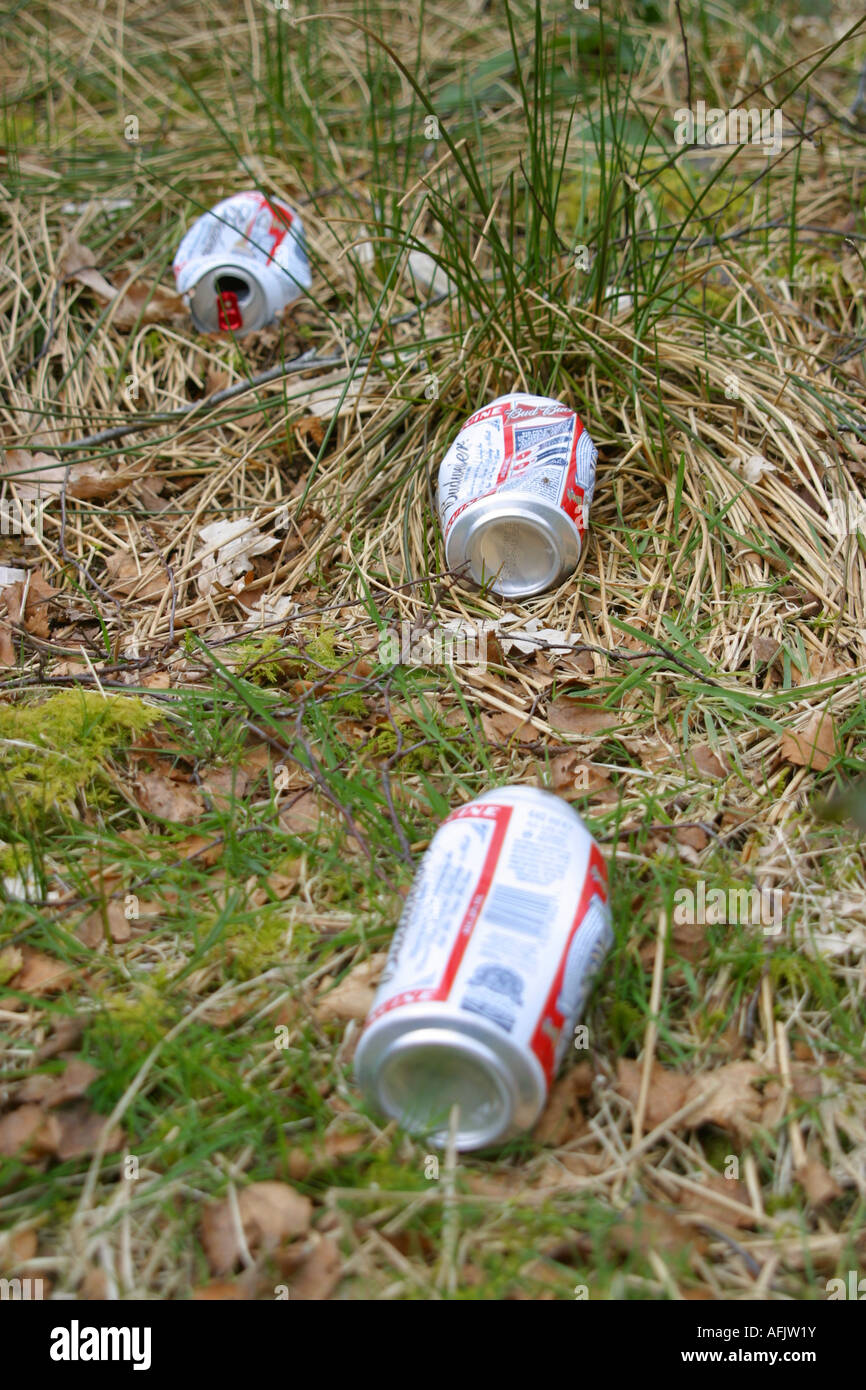 Vuoto di lattine di birra scartato sull'erba Foto Stock
