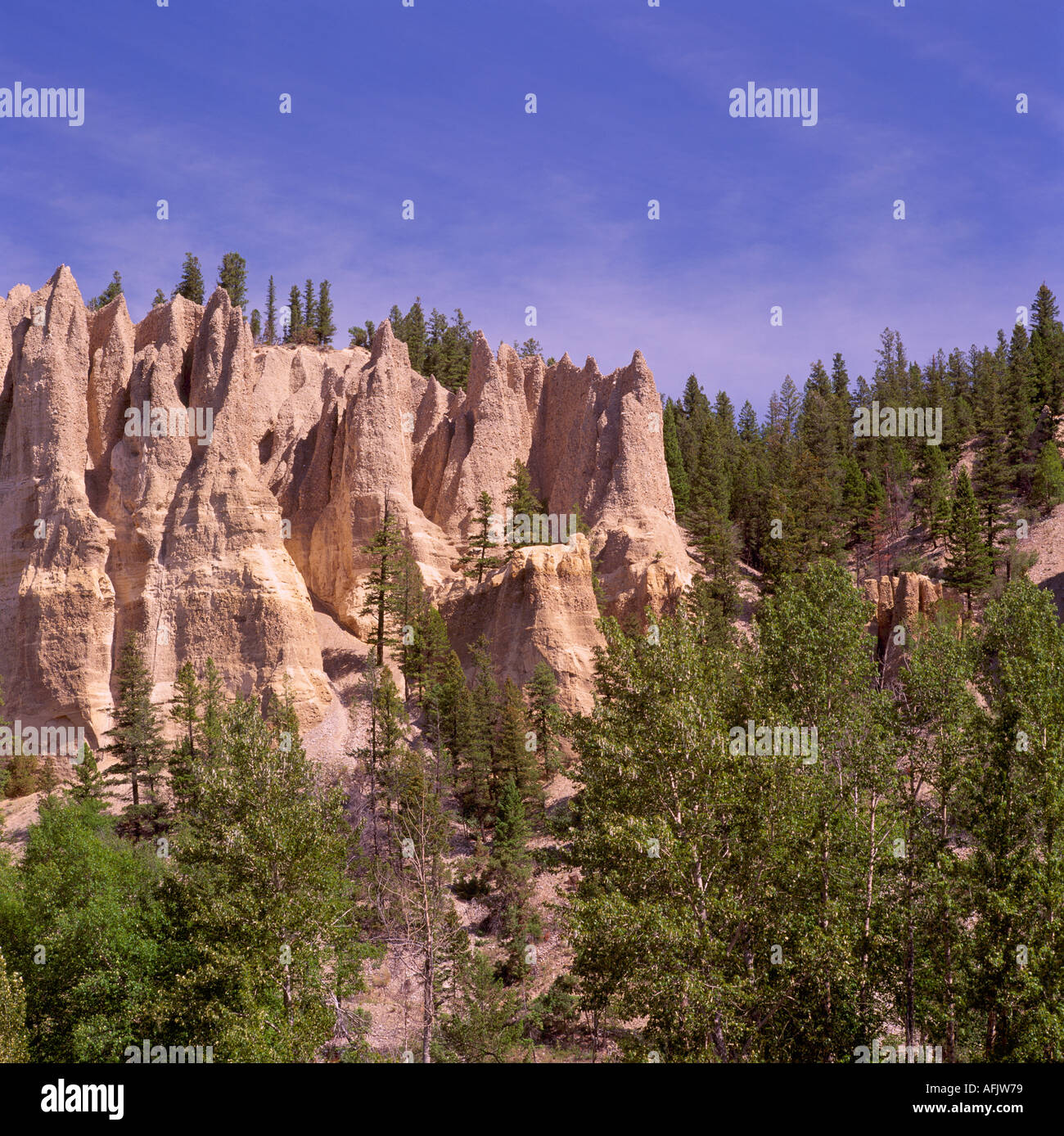 Hoodoos in Olandese Creek vicino al Canal Appartamenti e Fairmont nella regione di Kootenay e Montagne Rocciose canadesi della Columbia britannica in Canada in estate Foto Stock