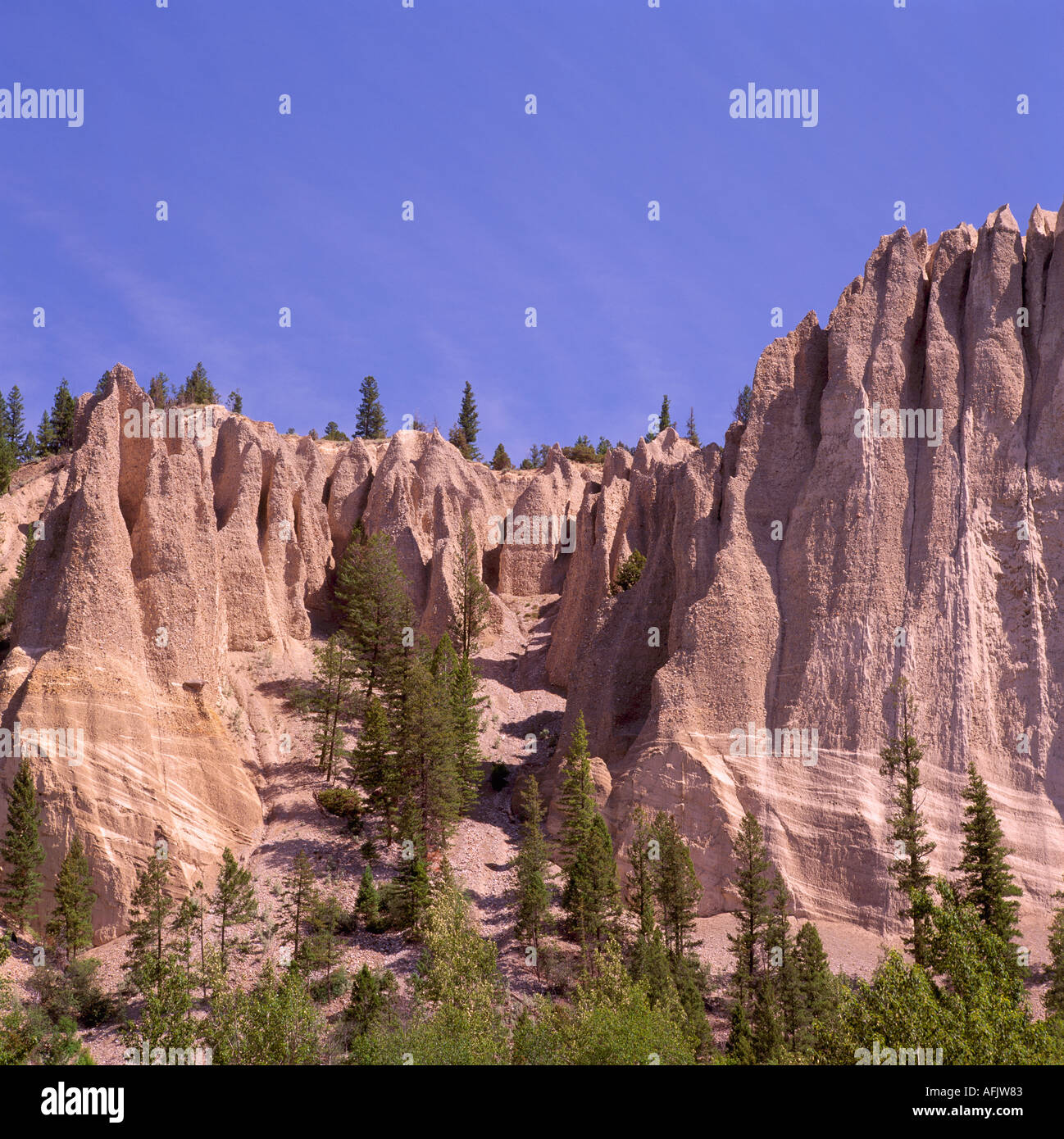 Hoodoos in Olandese Creek vicino al Canal Appartamenti e Fairmont nella regione di Kootenay e Montagne Rocciose canadesi della Columbia britannica in Canada in estate Foto Stock