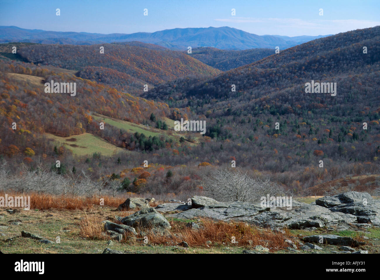 Virginia Mount Rogers National Recreation Area vista dall'Appalachian Trail Fall Colors VA094,VA094 Foto Stock