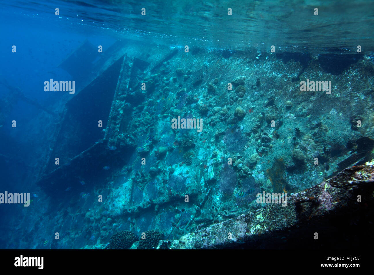 Maldive faadhippolhu atoll il cantiere scafo di un naufragio in prossimità della superficie Foto Stock