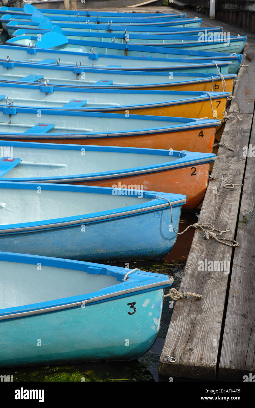 Numerose piccole barche a remi, scafi dipinto in azzurro interno e alcune arancione al di fuori, Ormeggiata al pontile. Foto Stock