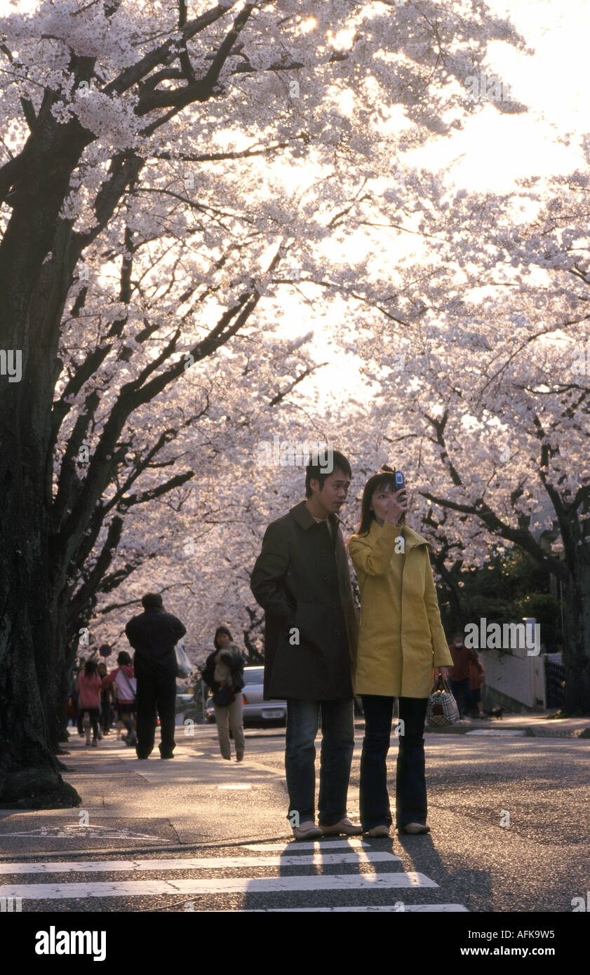 A couple take a picture of the cherry blossom in Tokyo with a phone camera, Japan Foto Stock