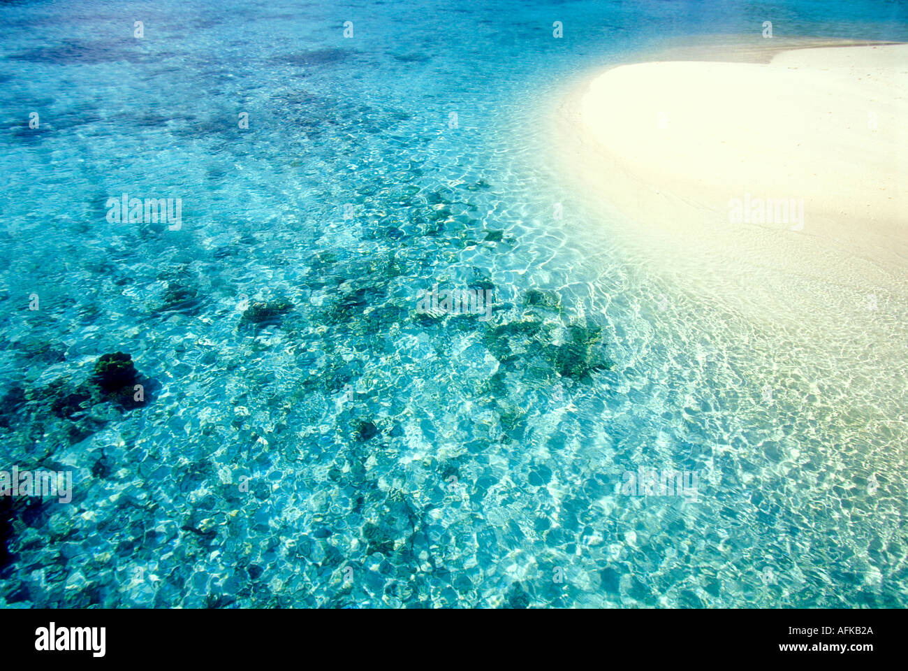 Piccola spiaggia di sabbia bianca circondata da poco profonde acque tropicali alle Maldive Oceano Indiano Foto Stock