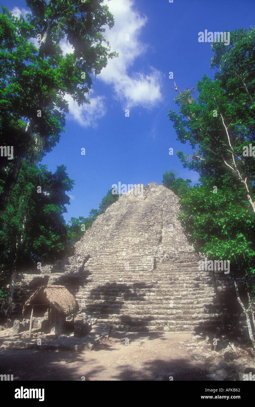 La piramide Maya a Coba Yucatan Messico Foto Stock