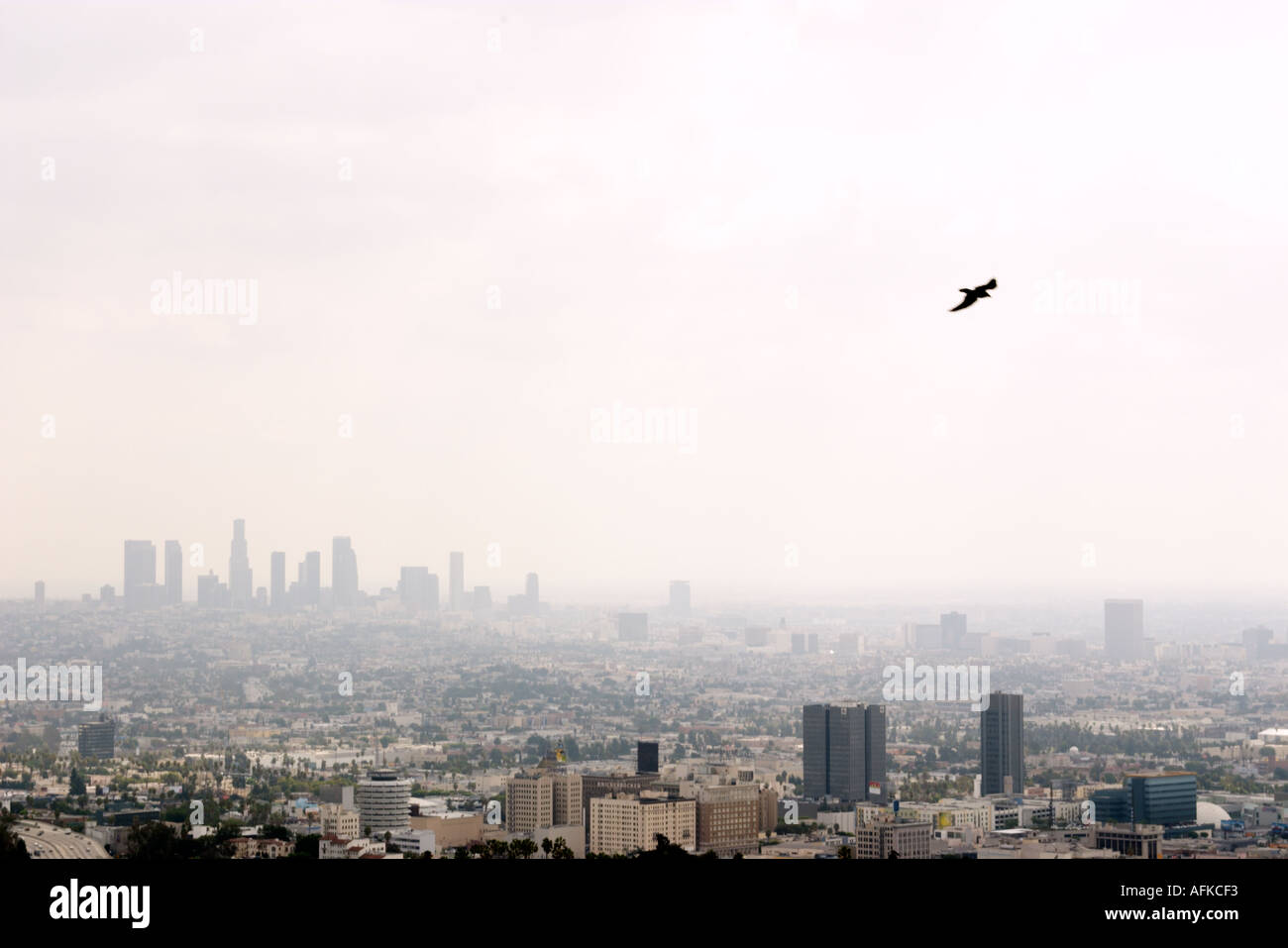 Di Los Angeles da Mulholland Drive Foto Stock