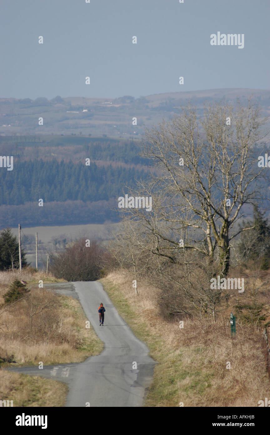 Donna solitarie passeggiate lungo la strada romana Sarn Helen vicino Llanfair Clydogau Ceredigion nel Galles cymru REGNO UNITO Foto Stock