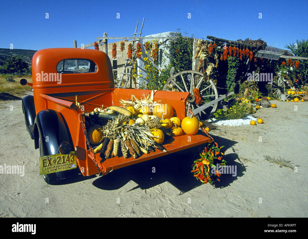 In Rio Grande Valle del New Mexico settentrionale un antico pickup truck riempito con autunno verdure compresi rosso Cile Foto Stock