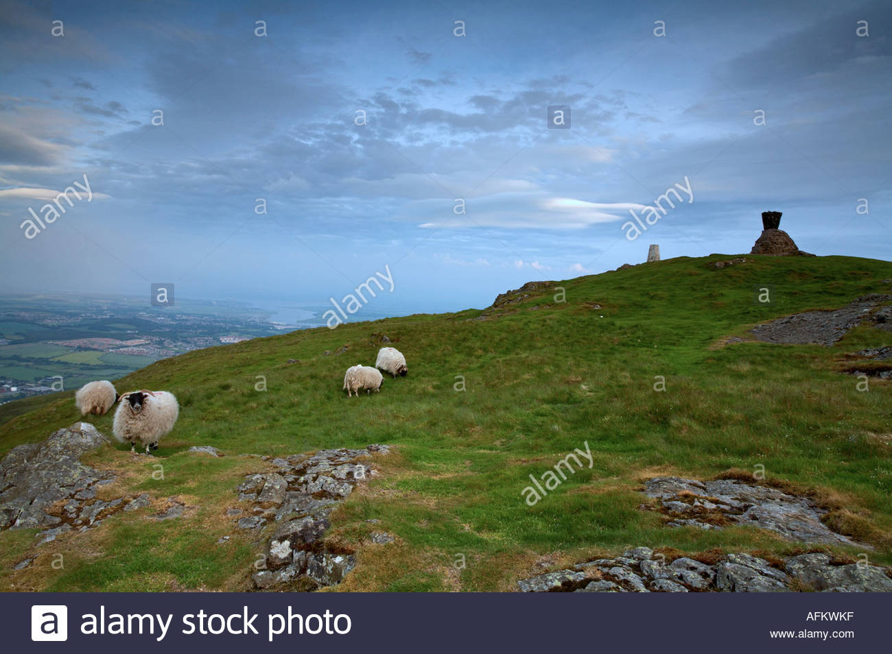 Dumyat hill Ochils, Stirling Scozia Scotland Foto Stock