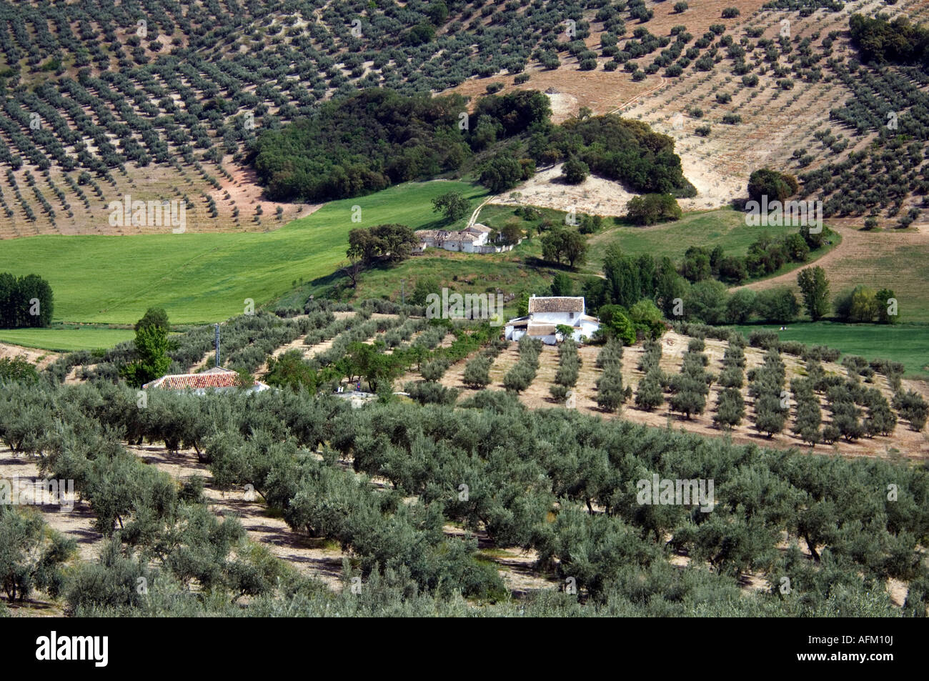Spagna Andalusia paesaggio intorno Montefrio in provincia di Cordoba Foto Stock
