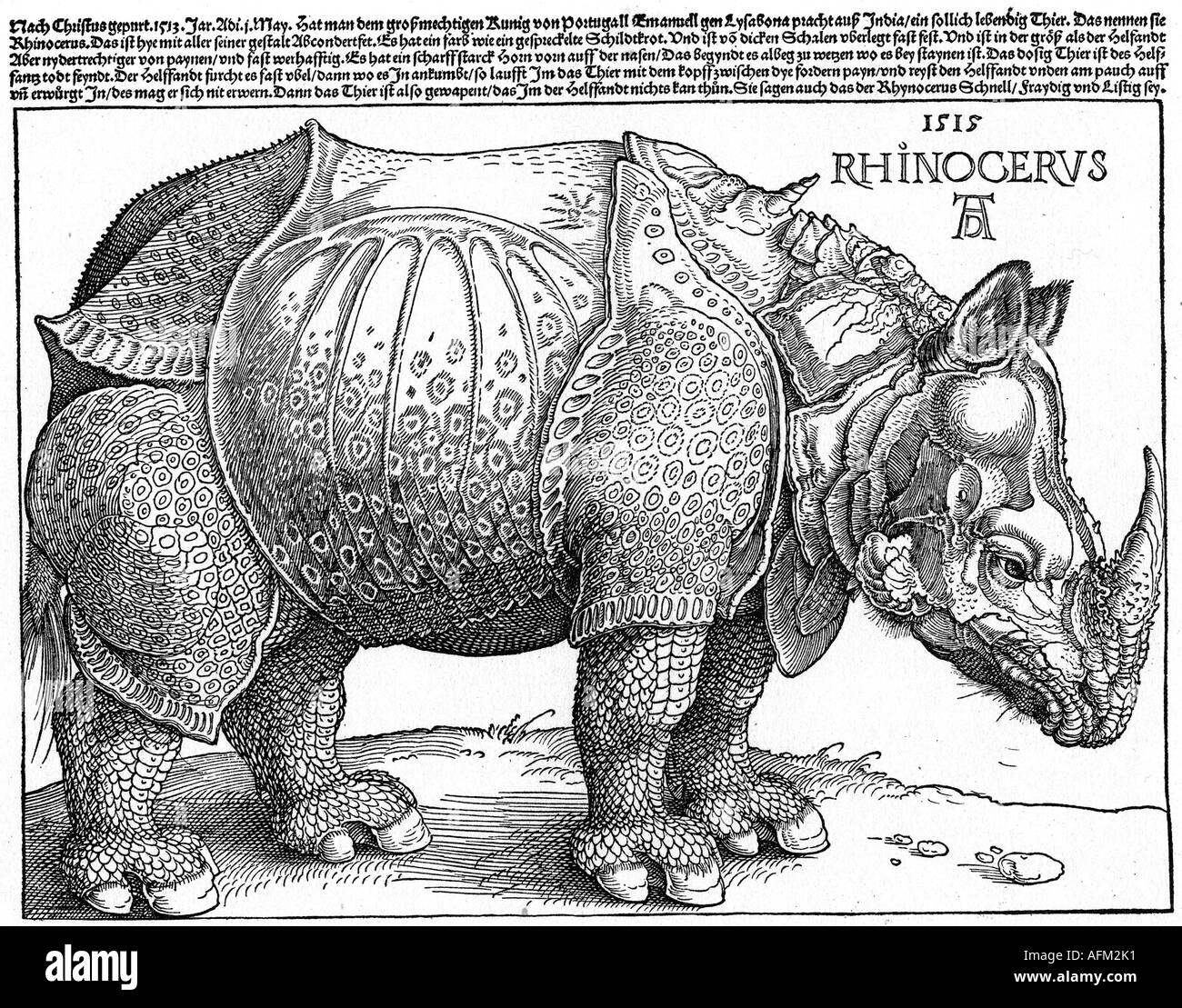 Zoologia, animali, il rinoceronte indiano (rhinoceros unicornis), la xilografia di Albrecht Dürer 1515, artista del diritto d'autore non deve essere cancellata Foto Stock
