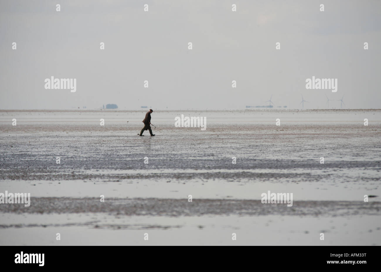 Il Cockle Picker su Snettisham Beach, Norfolk, Inghilterra Foto Stock