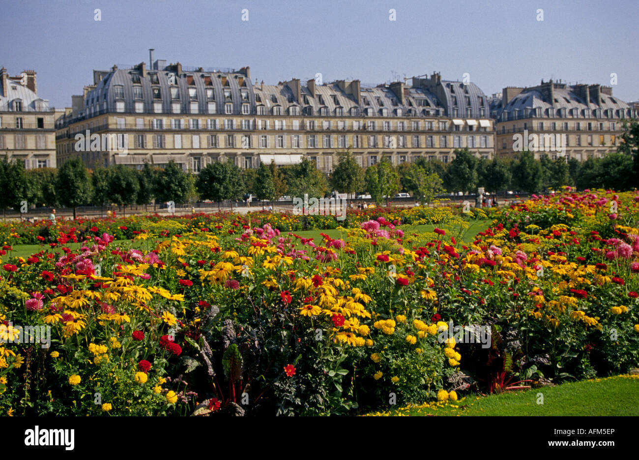 Una vista dei giardini Tuileries lungo la Senna nel centro di Parigi Foto Stock