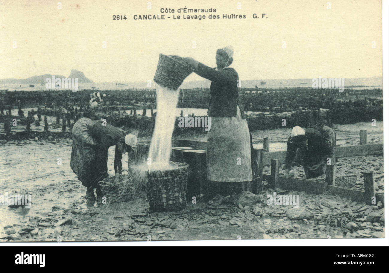 Cartolina di ostriche della Bretagna circa 1905 Foto Stock