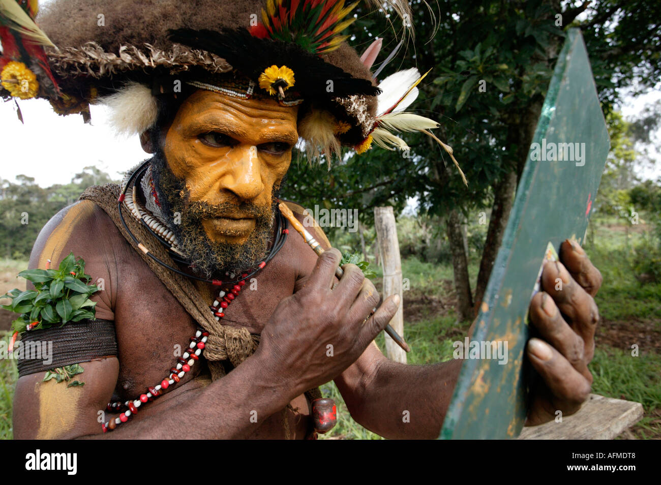 Un Huli wigman guerriero tribale, tari, Papua Nuova Guinea Foto Stock
