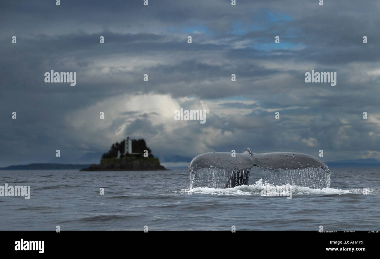 Humpback Whale e cinque dita Lighthouse Petersberg Alaska Foto Stock