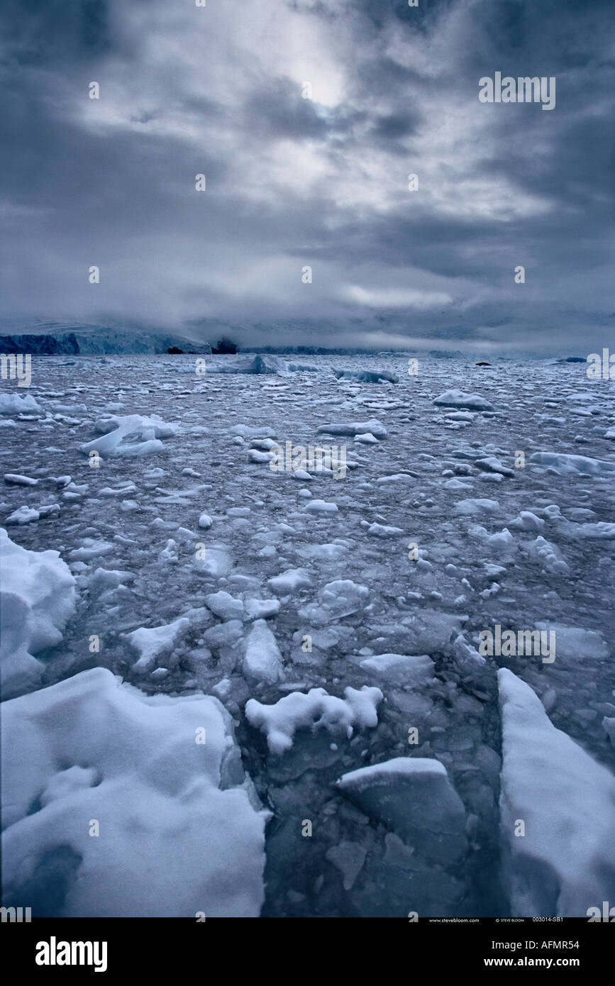 Ice floes Antartide Foto Stock