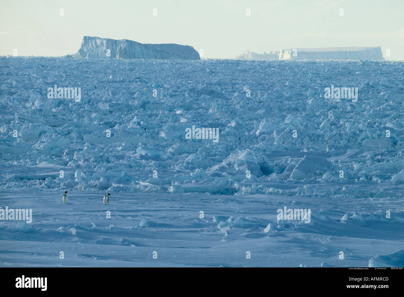 Ice floes Cape Adare Antartide Foto Stock