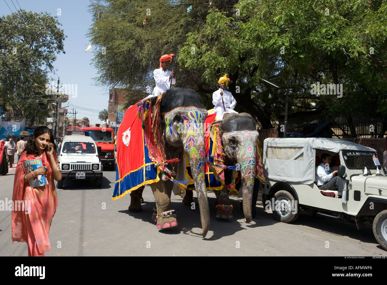Gli elefanti decorato per il festival si muove attraverso strade trafficate Jaipur India Foto Stock