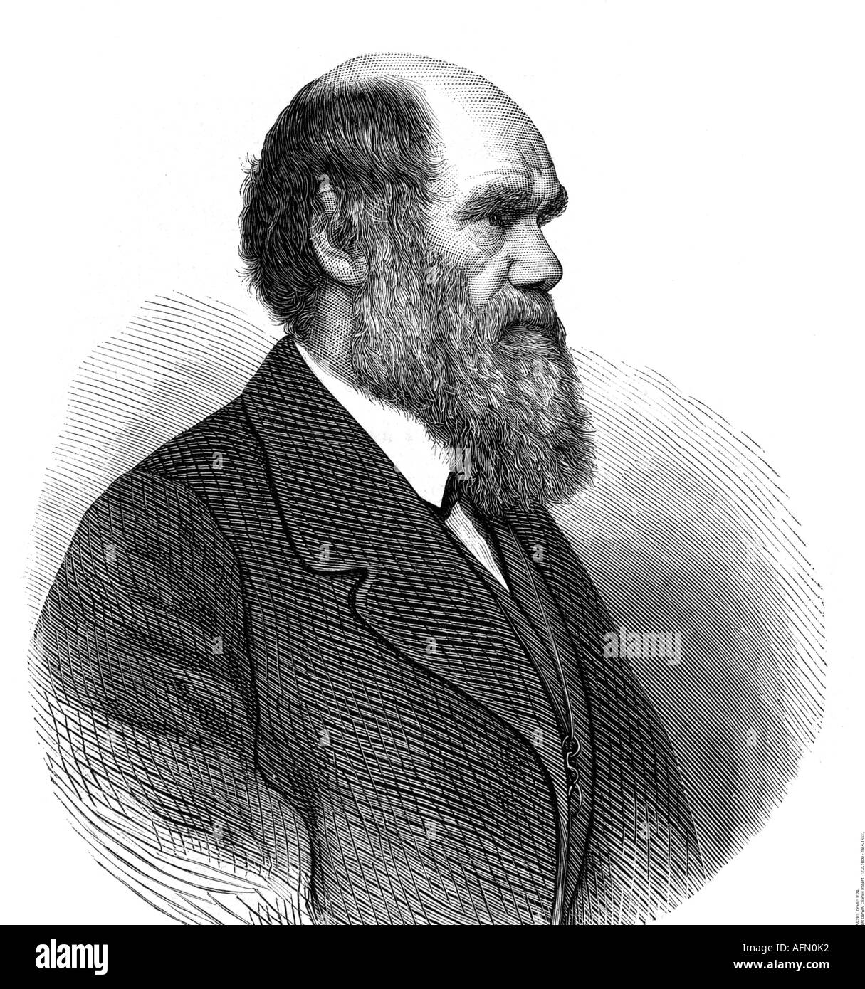 Darwin, Charles Robert, 12.2.1809 - 19.4.1882, naturalista britannico, ritratto, incisione del legno, circa 1875, Foto Stock