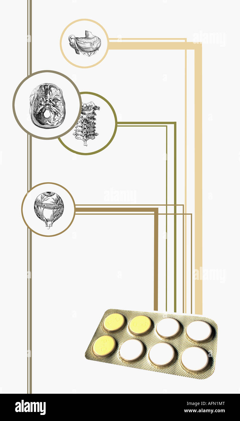 Confezione blister con diagrammi di organi umani Foto Stock