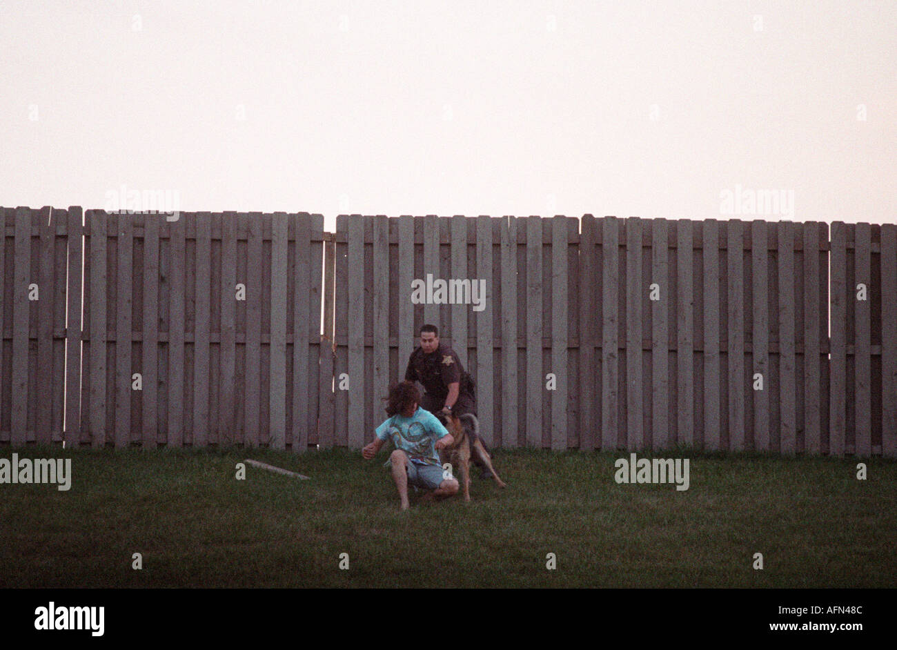 Una polizia morsi di cane a far eseguire una corsa a vuoto come una sommossa ensues durante un Grateful Dead show a Deercreek Indiana durante il mese di luglio 1995 Foto Stock