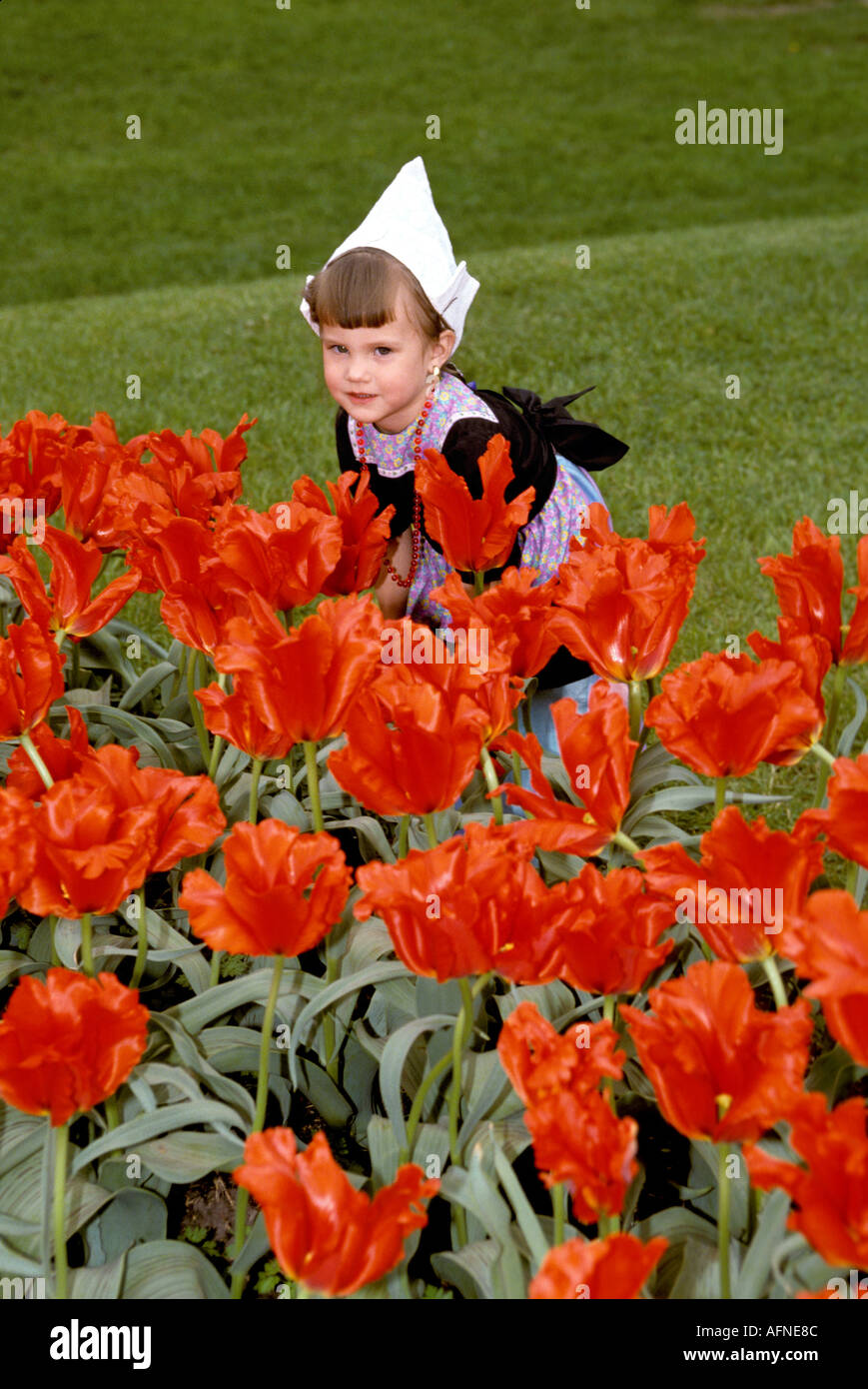 Piccola ragazza olandese dietro red tulip fiori all'Holland Michigan Tulip Festival Foto Stock