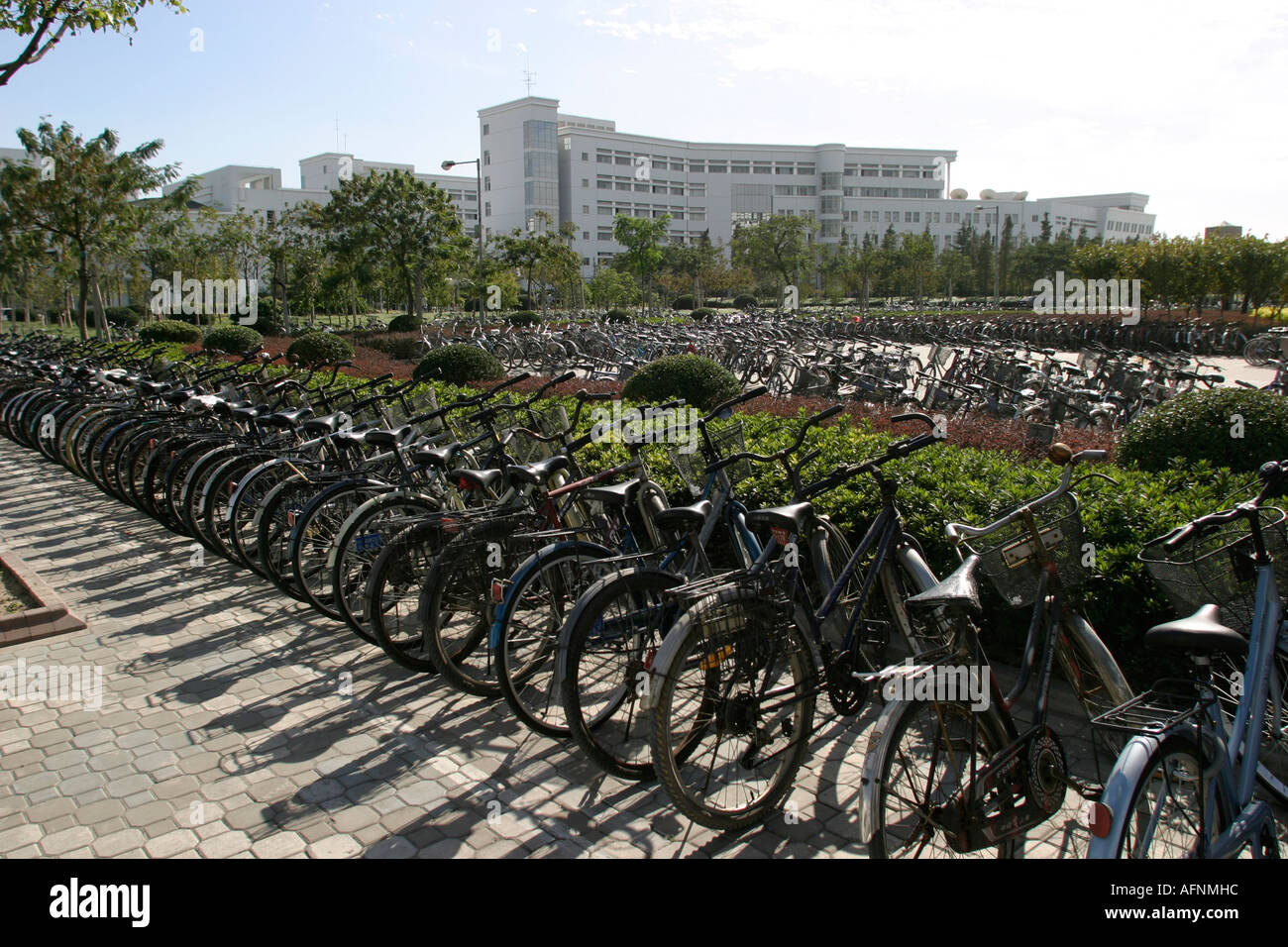Shanghai China Shanghai campus universitario è stato appena completato Parcheggio biciclette Foto Stock