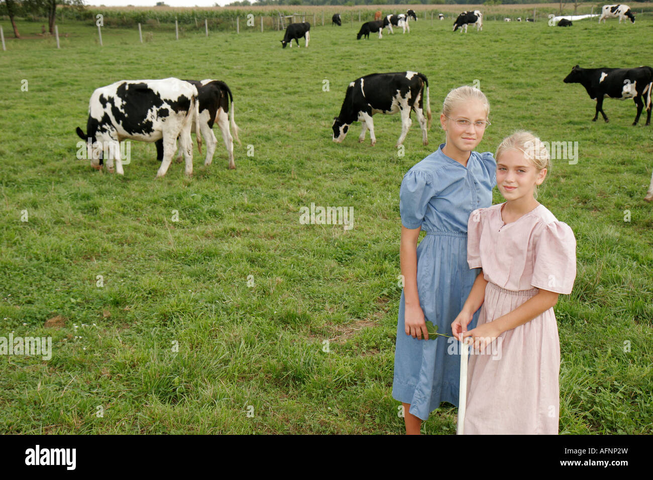 Shipshewana Indiana,Amish Farm Tour,ragazze,suore,mucca pascolo,visitatori viaggio viaggio turismo turistico punto di riferimento cultura culturale, vacanza Foto Stock