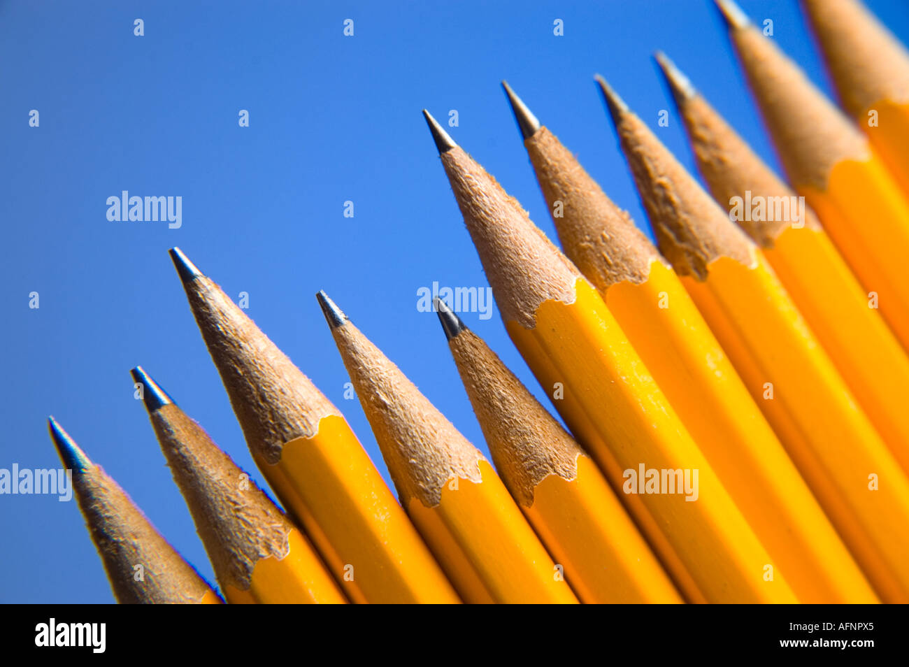 Line-up di giallo standard di fresco matite affilate Foto Stock