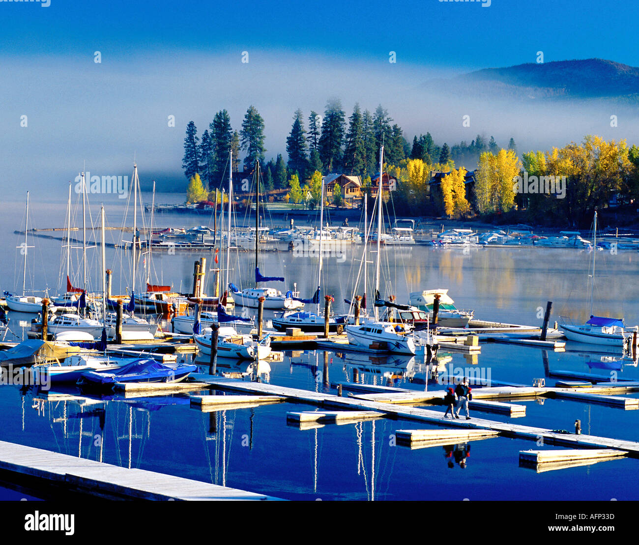 Vista panoramica del lago Payette in autunno, barche,marina, e la foresta di autunno in background. McCall, Idaho Foto Stock