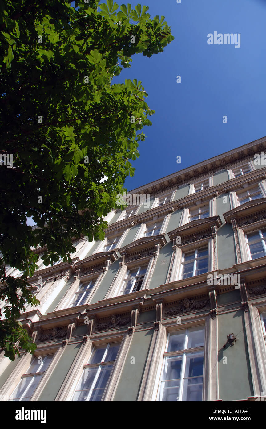 Foglie verdi su i castagni ed elegante appartamento blocchi estate nel primo distretto di Vienna Austria n. PR Foto Stock
