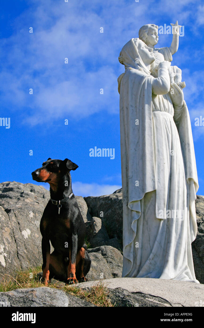 Isle of Barra cane di razza rat catcher manchester terrier pedigree madonna statua Western Isles della Scozia UK GB Foto Stock