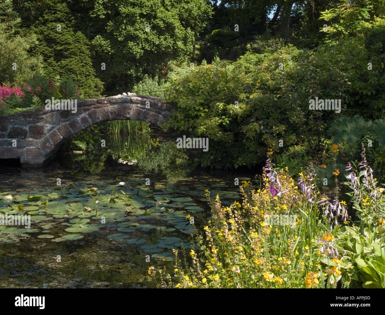 Giardini Botanici di Ness stagno e ponte in giardino di roccia in estate Neston Cheshire England Regno Unito Gran Bretagna Foto Stock