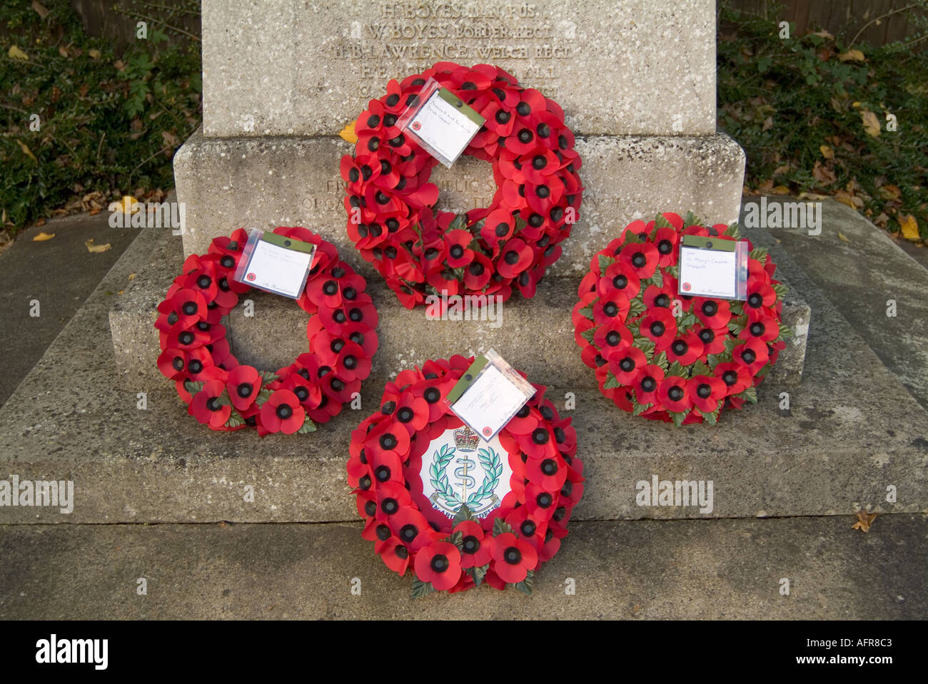 Il papavero rimembranza domenica guerra mondiale uno 1 due 2 army navy airforce soldato morto airman marinaio muoiono di morte Foto Stock