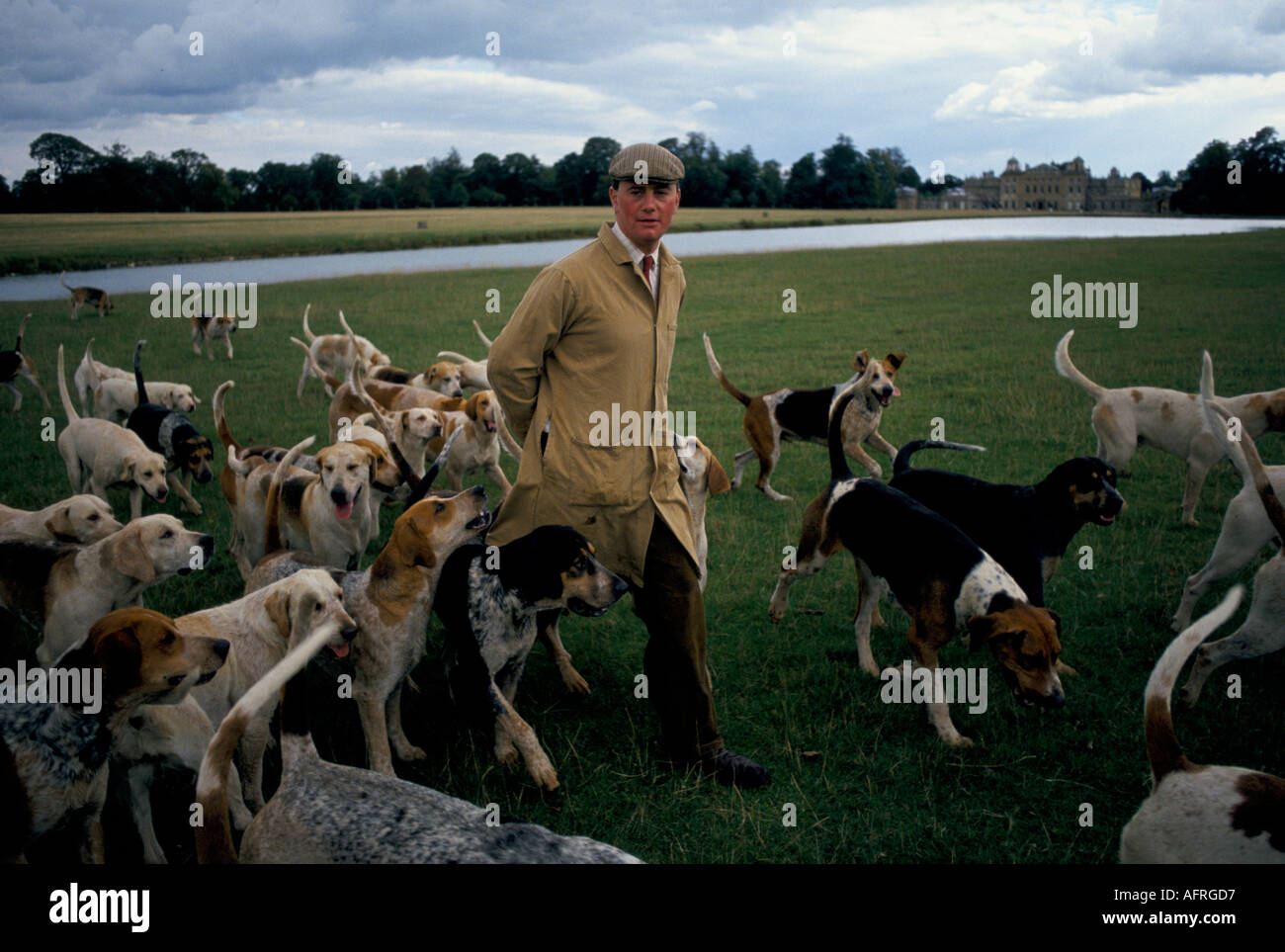 Charles Wheeler Huntsman. Duke of Beaufort Hunt Badminton estate Gloucestershire esercizio del cane mattutino in Parkland 1996 1990s UK HOMER SYKES Foto Stock