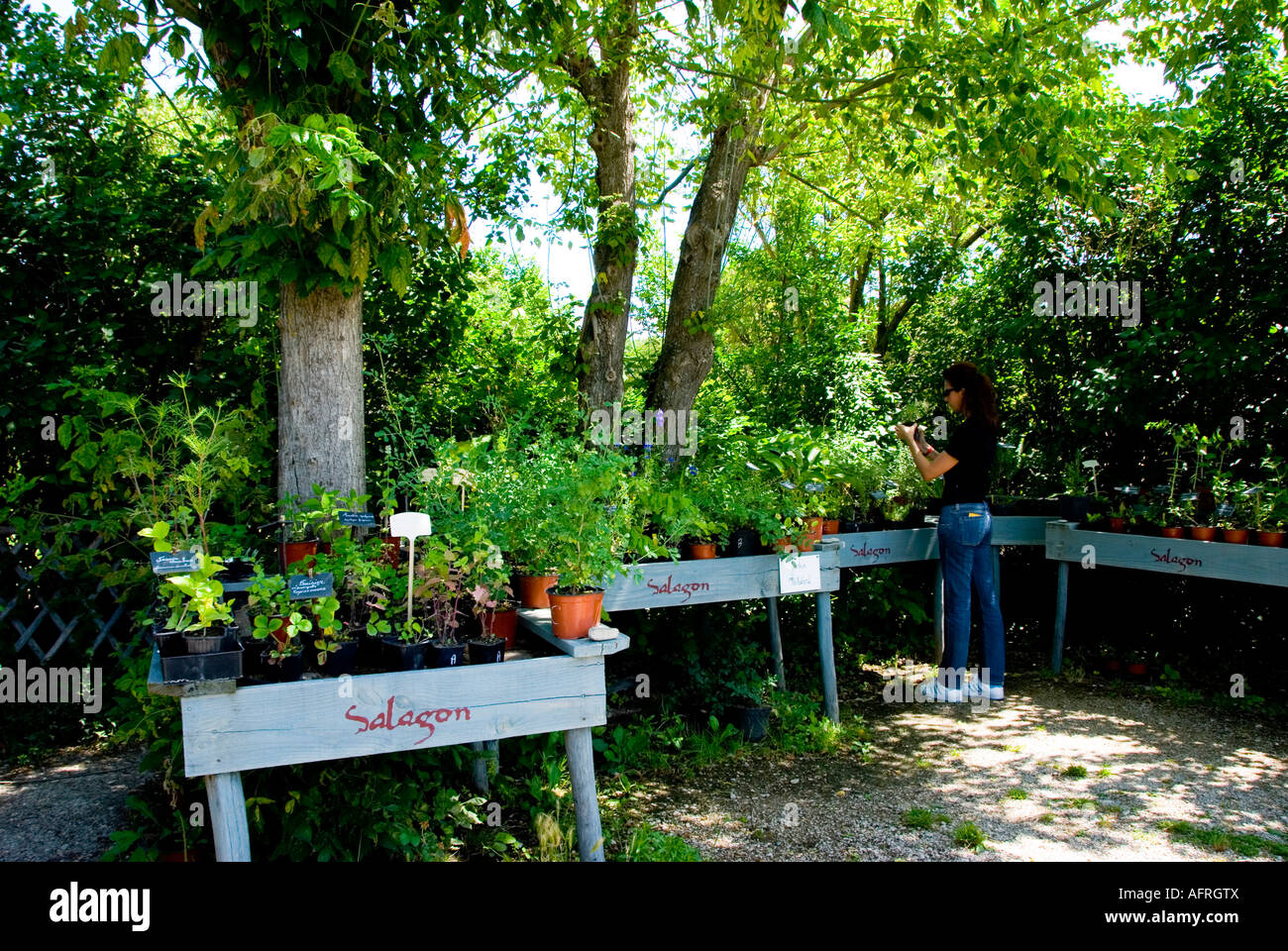 Salagon Abbazia, giardino botanico, Provenza, Francia meridionale Foto Stock