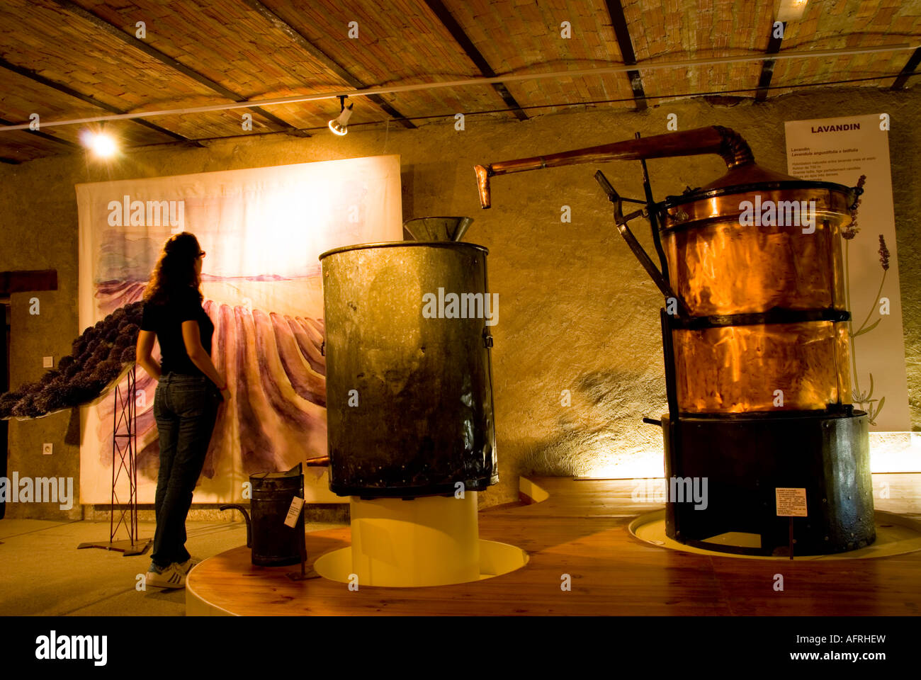 Salagon Abbazia, Museo della Lavanda, Provenza, Francia meridionale Foto Stock