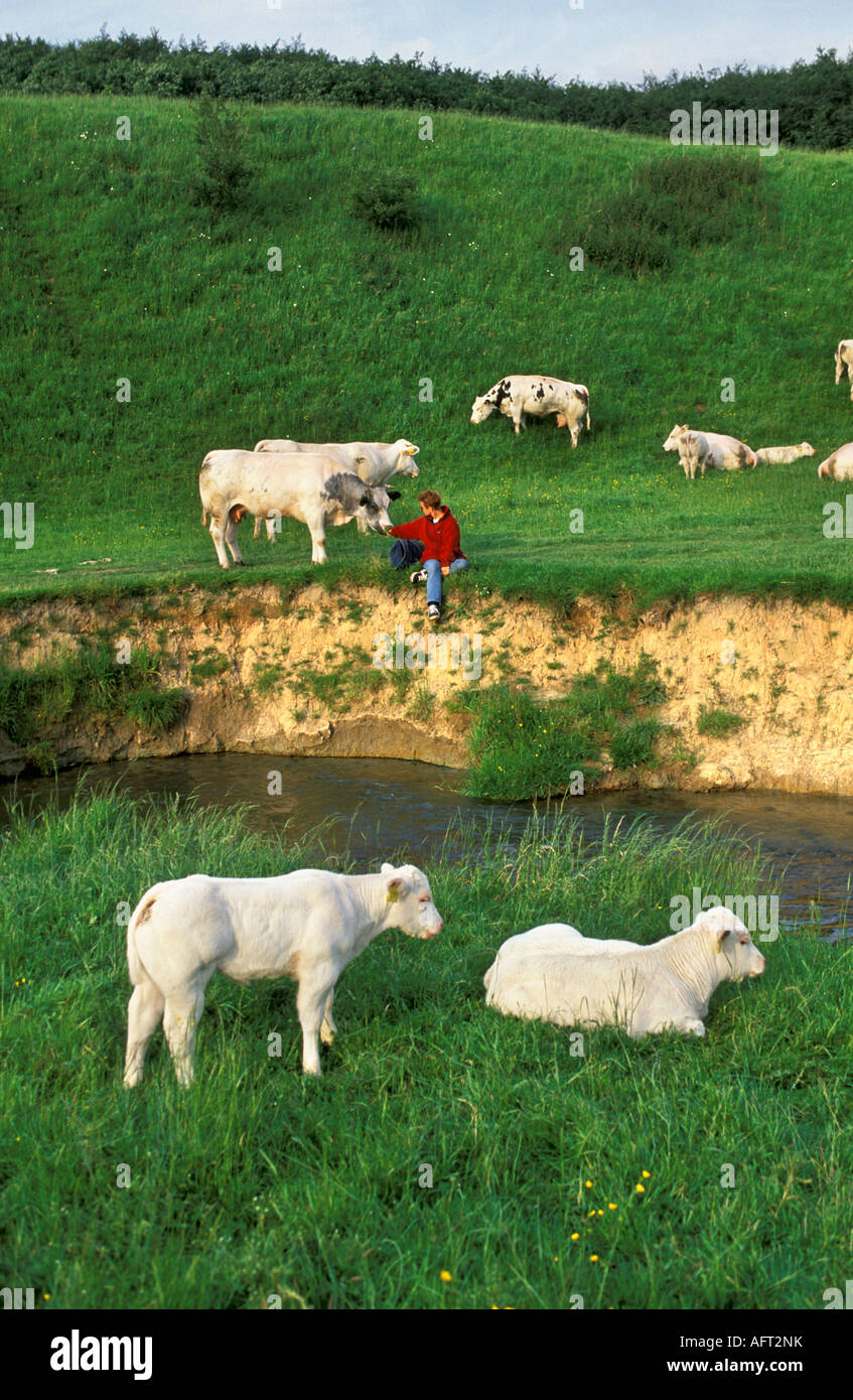 Paesi Bassi Epen donna con seduta di vacca da River Foto Stock