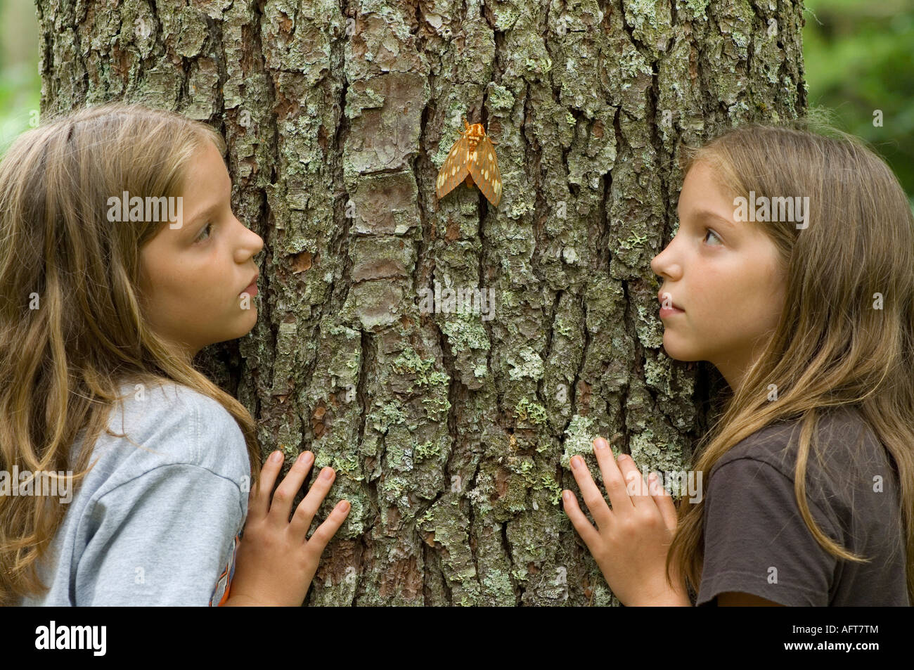 Due gemelle osservando il nero Royal Noce Moth bosco di latifoglie e USA, da Bill Lea/Dembinsky Foto Assoc Foto Stock