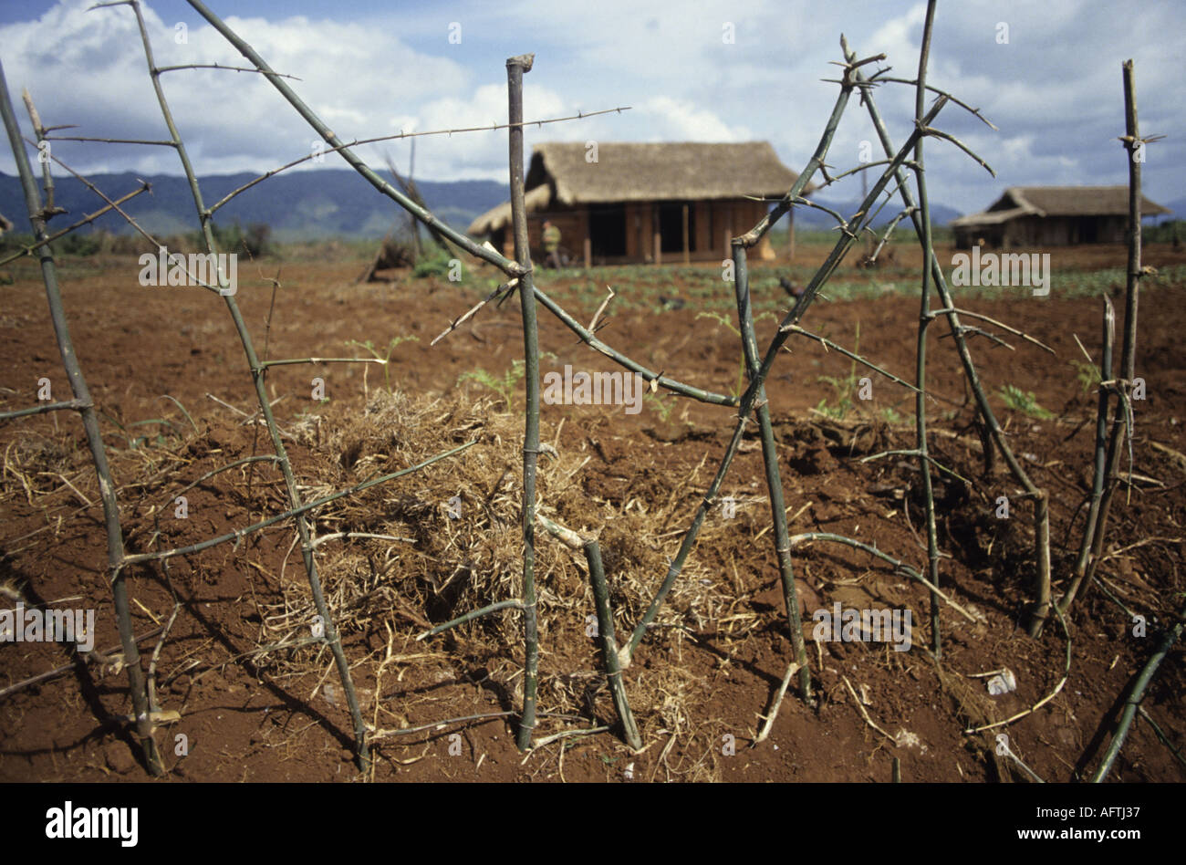 Un nuovo insediamento in prossimità di DMZ Vietnam centrale dove la guerra viene messo dietro di loro Pic Rob giudici Foto Stock