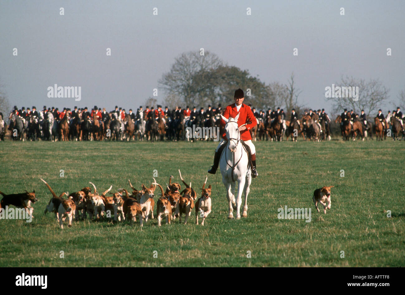 Scena della caccia alla volpe nel Regno Unito. Belvoir Hunt. Il campo all'inizio della giornata sportiva. Il maestro cavalca con il duca di Rutland Hounds Leicestershire anni 1980 Foto Stock