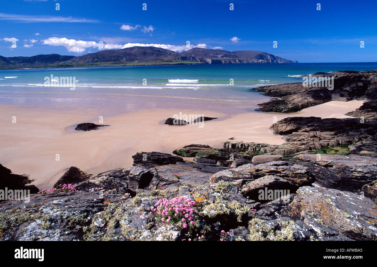 La parsimonia e rocce accanto a Tramore Strand, Rosbeg, County Donegal, Irlanda Foto Stock