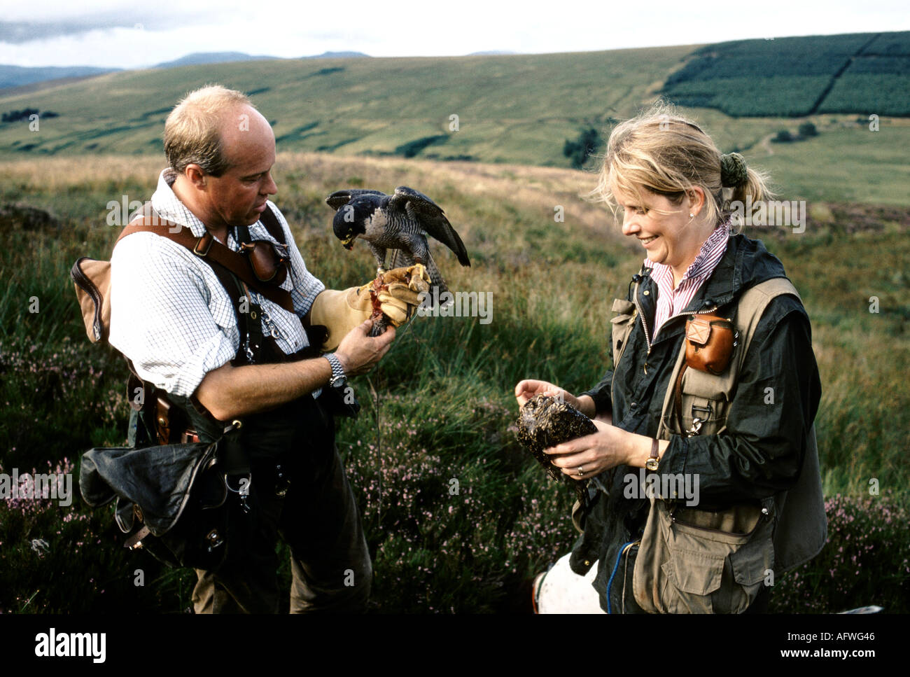 Emma Ford e Steve Ford, della British School of Falconry a Gleneagles Scozia con Harris Hawk uccelli rapaci. ANNI '90 REGNO UNITO HOMER SYKES Foto Stock