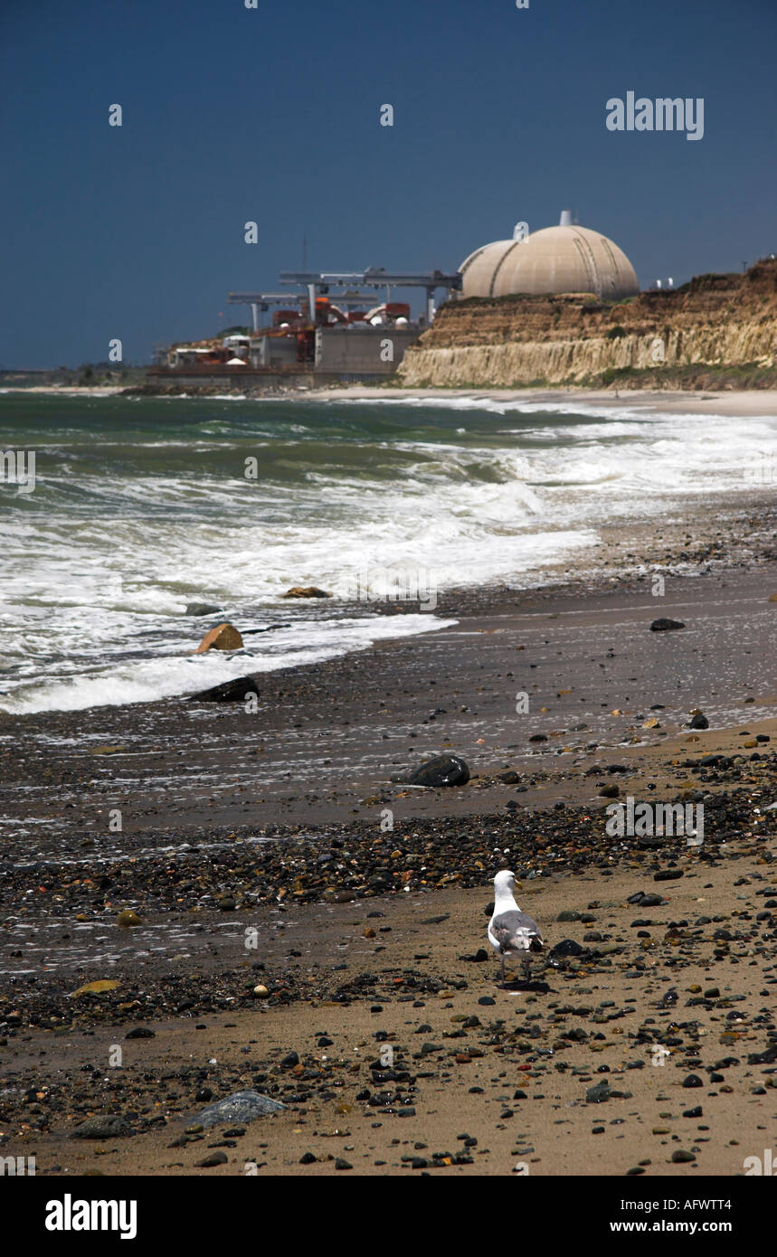 Seagull sulla spiaggia con San Onofre nucleare stazione di generazione in background, CALIFORNIA, STATI UNITI D'AMERICA Foto Stock