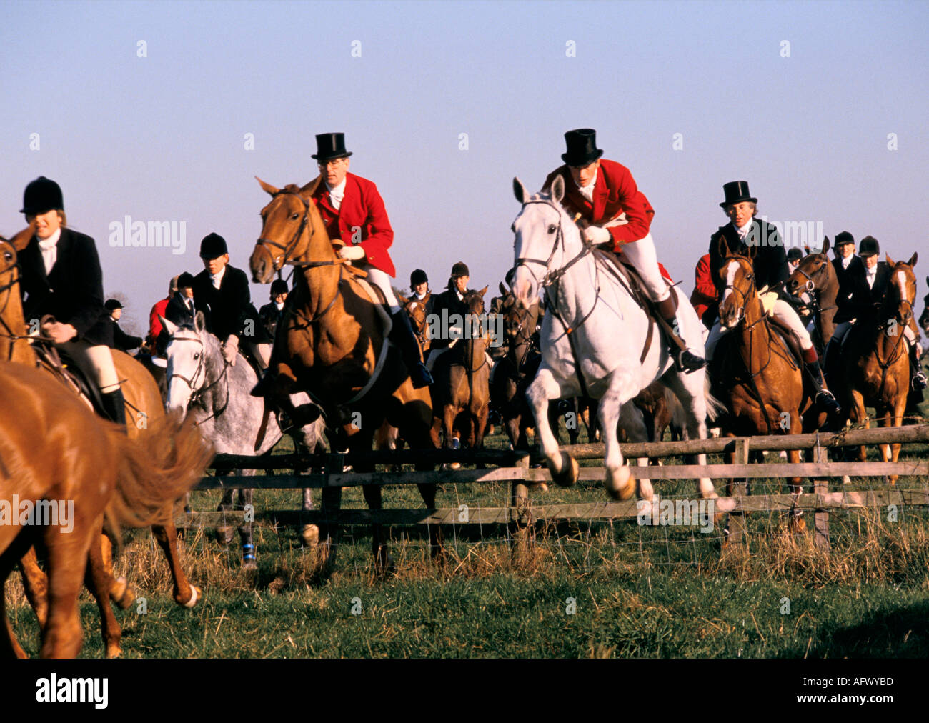 Scena della caccia alla volpe nel Regno Unito. I cacciatori e le donne che saltano saltando recinzioni, cappotti rossi a cappello codice di abbigliamento tradizionale. Belvoir Hunt, Leicestershire, Inghilterra. anni '1980 Foto Stock