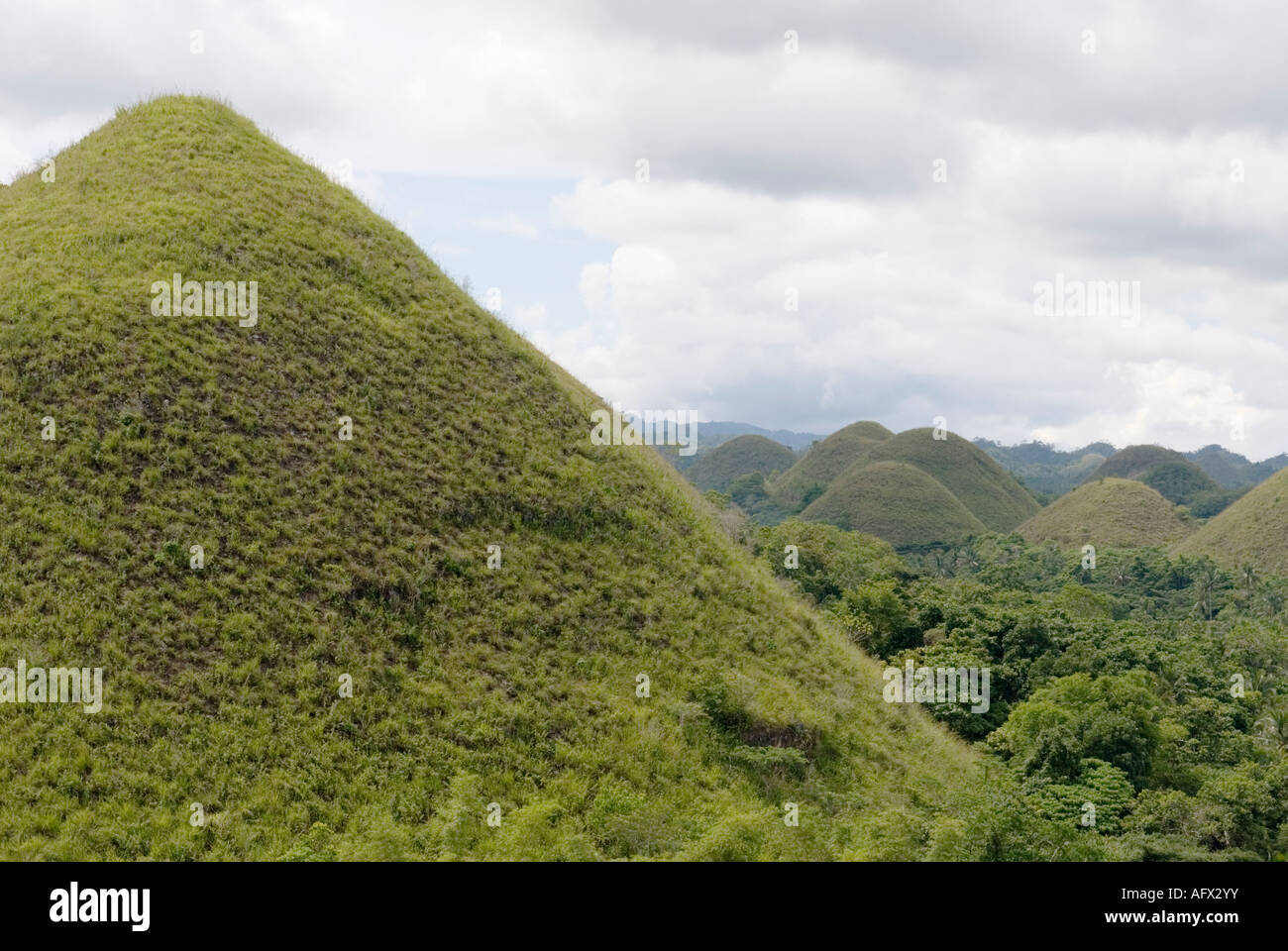 Filippine Bohol Chocolate Hills Visayas Foto Stock