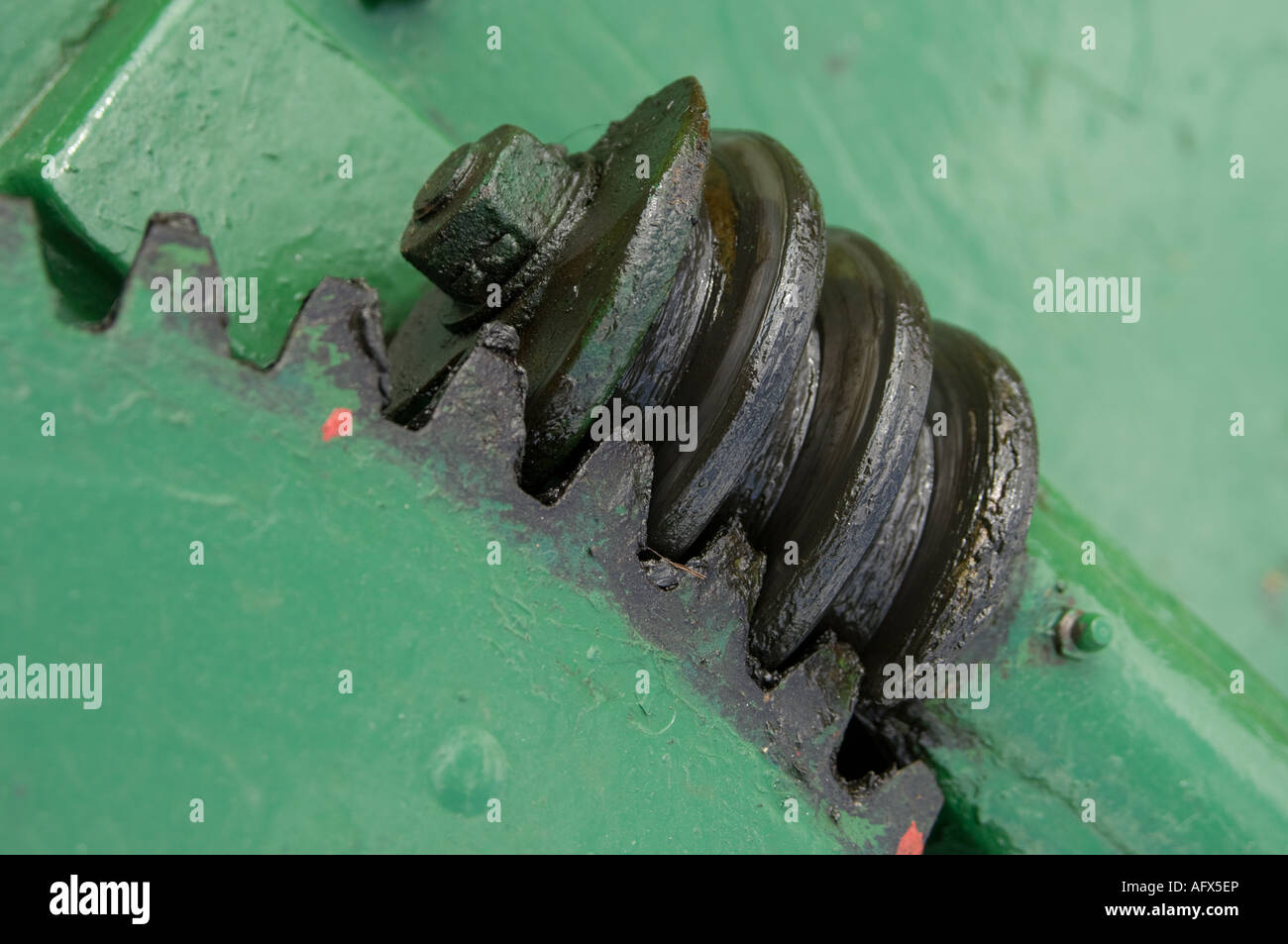 Ingrassate pignone e cremagliera pignone sul pesante rullo di cricket Foto Stock