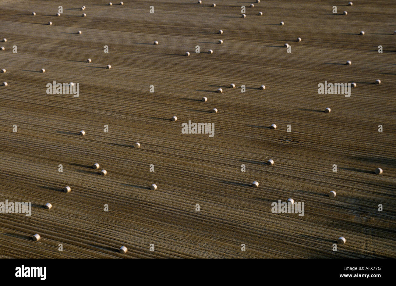 Vista aerea ,aerien,aereo,vue aerienne, meules de paille aprés la moisson des blés Francia loiret Foto Stock